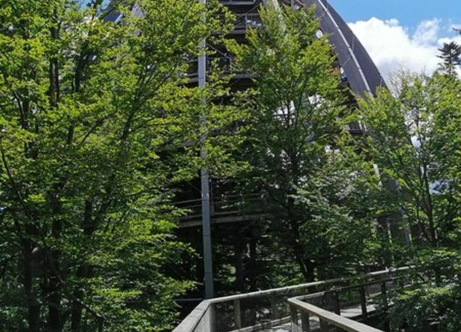Apartment Bayerischer Wald Auf 800M Hoehe Willkommen Schofweg